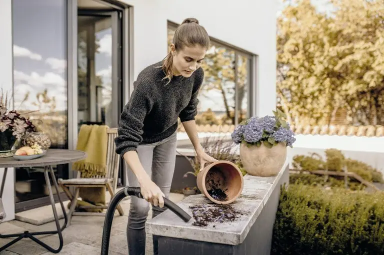 WD_curved_handle_repotting_app_01_CI20_96-dpi-jpg-768x511.webp