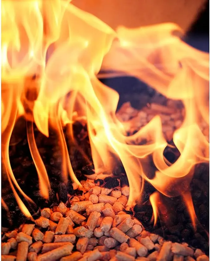 71H+-V-sBbL._AC_SX679_.webp