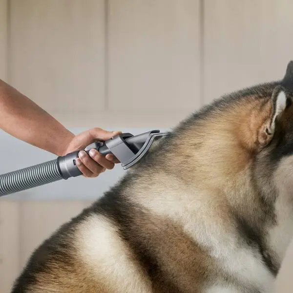 dyson-vacuum-attachments-972205-01-4f_600.webp