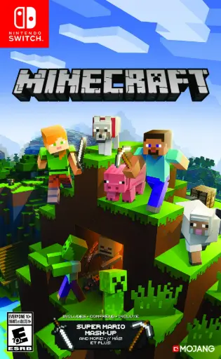 Nintendo Switch Minecraft Game